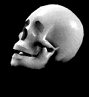 Animated GIF of a skull laughing towards the left